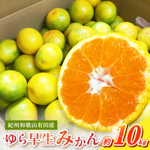  紀州和歌山有田産 ゆら早生みかん 10kg【ミカン 蜜柑 柑橘 温州みかん わせみかん】_G7098