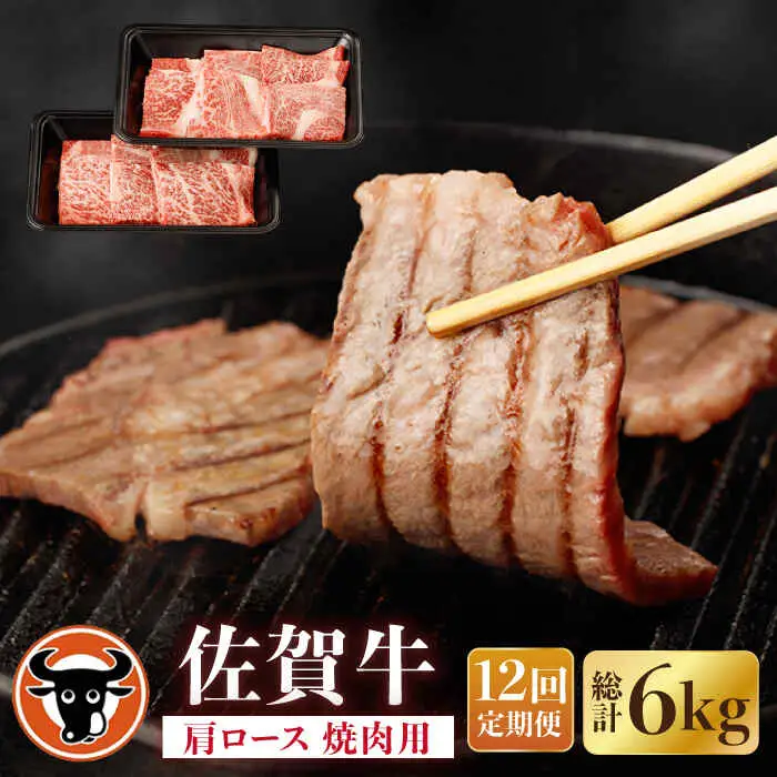 【定期便】牛肉 肩ロース 焼肉用 計500g NAC154 牛肉 全12回