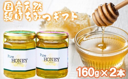 はちみつ 国産天然 さくら もちのき 化粧箱入 はちみつ【160g×2本】