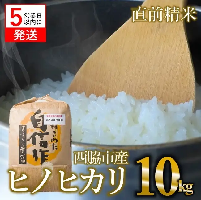 【スピード配送】令和７年産【ヒノヒカリ】10kg 白米