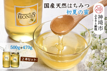 2025年産【数量限定】国産天然蜂蜜(初夏の蜜)500g&470g【合計970g】(H049117)