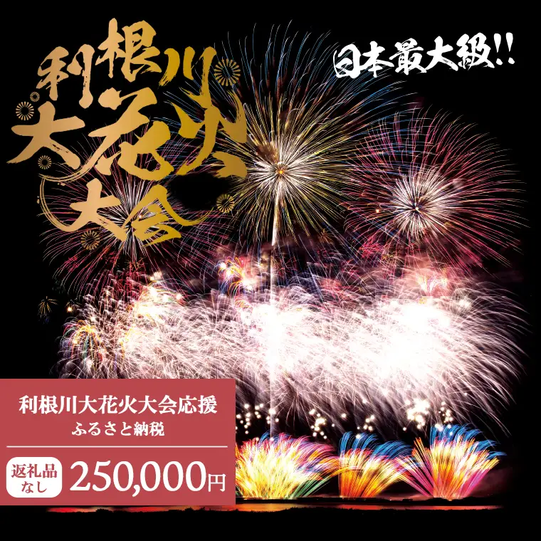 K2282 【返礼品なし】利根川大花火大会応援ふるさと納税  (250000円分)  【茨城県境町】