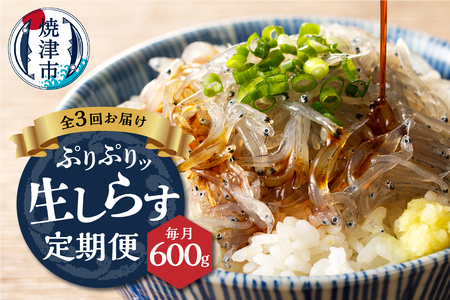 【定期便 3 】生しらす100g 6個×3回 (a30-234)