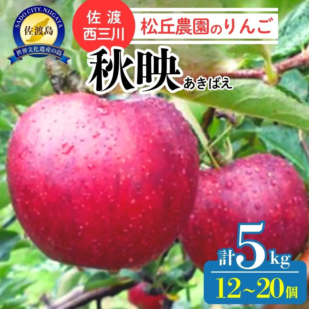 りんご 秋映 5kg 10月上旬以降発送| 新潟県 佐渡市 松丘農園 りんご