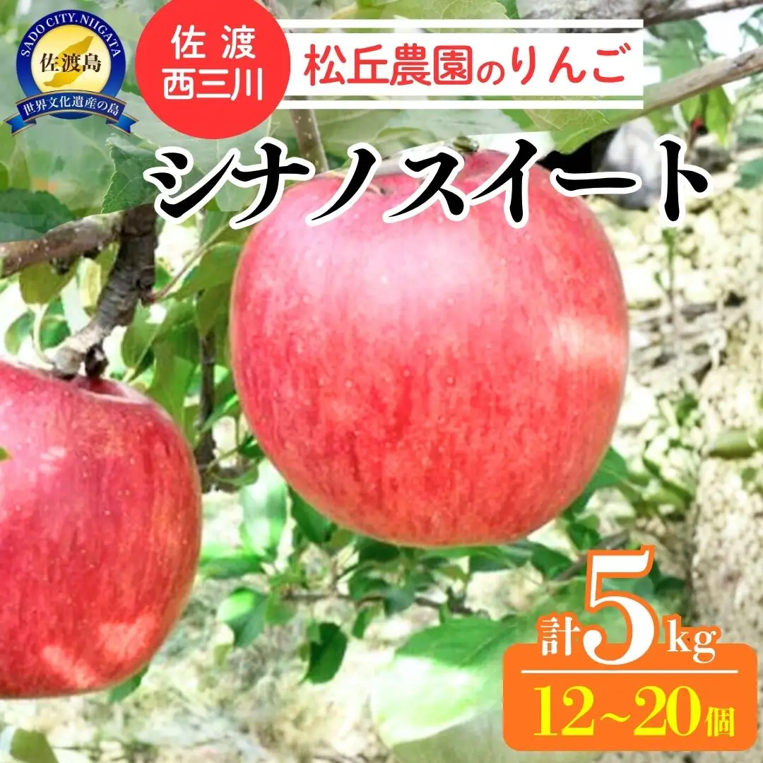 りんご シナノスイート 5kg 10月上旬以降発送| 新潟県 佐渡市 松丘農園 りんご