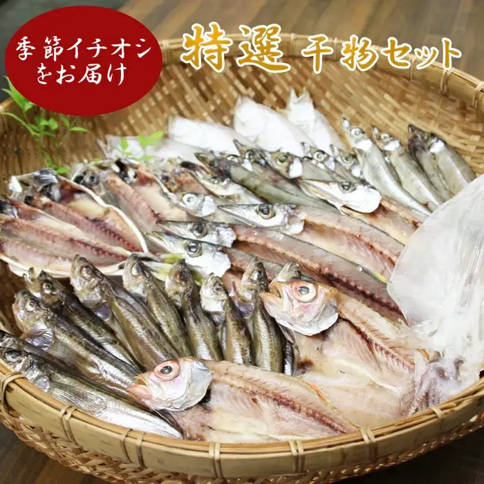 特選干物セット【干物 干もの ひもの 冷凍 詰め合わせ 詰合せ セット 特選 旬 季節 地場産品 ご当地 おまかせ ギフト お歳暮 お中元 お取り寄せ 山陰 日本海 鳥取県 日吉津村】