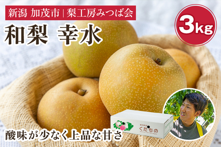 【2026年先行予約】新潟県産 和梨 幸水 3Kg（7〜11玉）《8月中旬以降発送》こうすい 梨工房みつば会