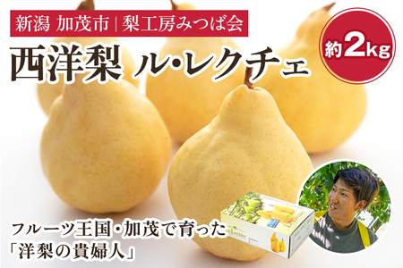 【2026年先行予約】新潟特産 幻の洋梨ル・レクチェ 【家庭用】2Kg（5～7玉）《11月下旬以降発送》梨工房みつば会