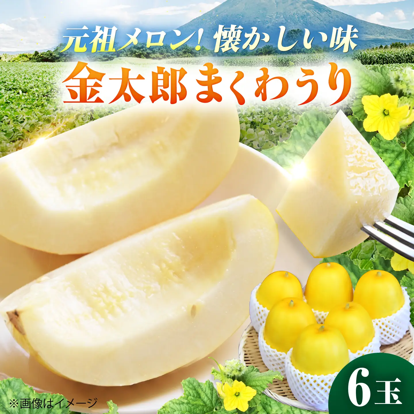 【2027年7月下旬より順次発送】旬の野菜 懐かしまっか便（栽培期間中、農薬・化学肥料・動物性堆肥不使用）/ まくわうり セット 詰め合わせ 新鮮 野菜 旬 / 滋賀県 栗東市 / ワダケン リアルソイルハウス [BIBM006]