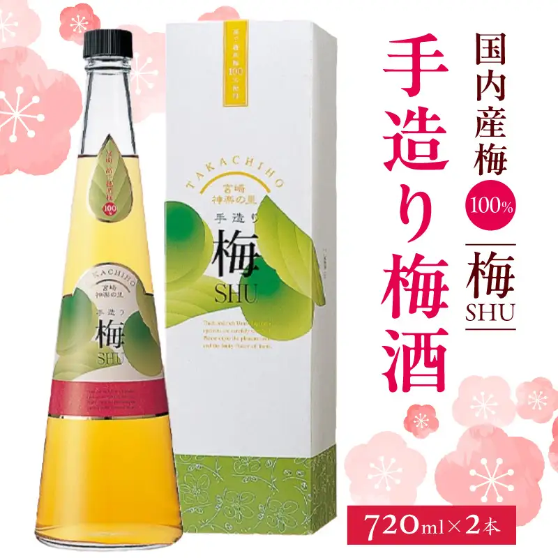 手造り梅酒 14% 720ml×2本セット 梅酒 酒 アルコール 梅酒セット セット 詰め合わせ ロック ストレート 贈答 贈答用 ギフト プレゼント お祝い 祝い 内祝い 記念日 誕生日 お取り寄せ グルメ 家飲み 宅飲み 飲み会 国産 宮崎県 高千穂町 _Tk007-028