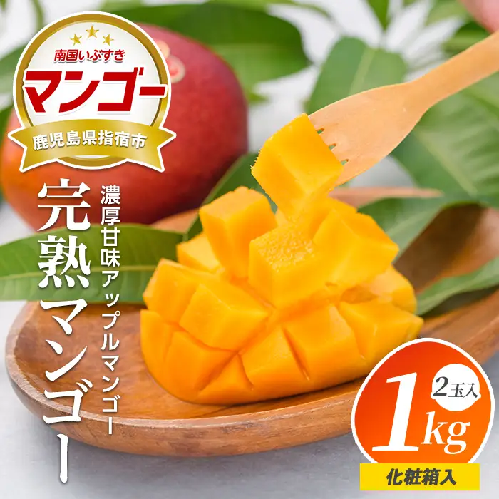 【2026年発送】美味しいマンゴーできました！鹿児島県 指宿 産アップルマンゴー 3L  2玉 化粧箱 入 岡村商店 IB024-031