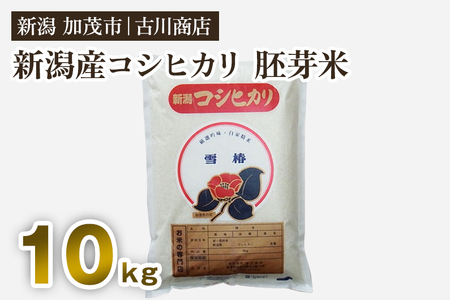 【令和5年産米】新潟県加茂市産コシヒカリ 胚芽米10kg お米の専門店 古川商店