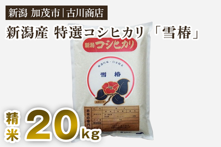 【令和7年産】新潟県産 特選コシヒカリ「雪椿」精米20kg