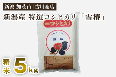 【令和7年産】新潟県産 特選コシヒカリ「雪椿」精米5kg 白米 加茂市
