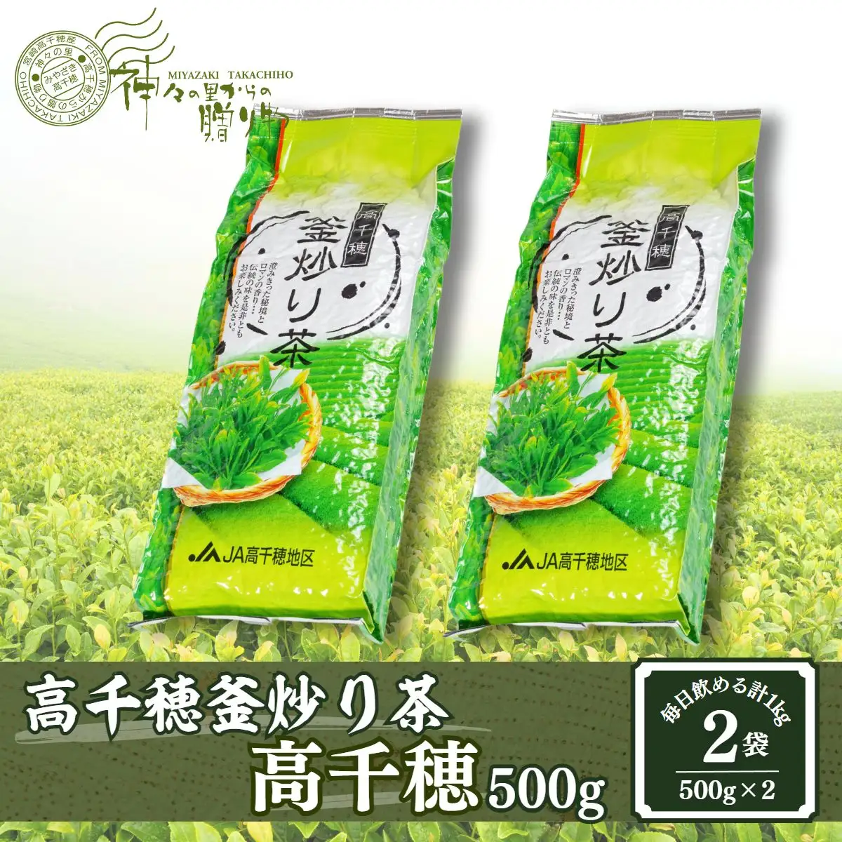 高千穂釜炒り茶（高千穂）500g×2本詰 厳選 緑茶 お茶 茶 緑茶 茶葉 釜炒り茶 2番茶 ドリンク 飲み物 ティータイム おもてなし おすそ分け お取り寄せ 宮崎県 高千穂町_Tk004-056