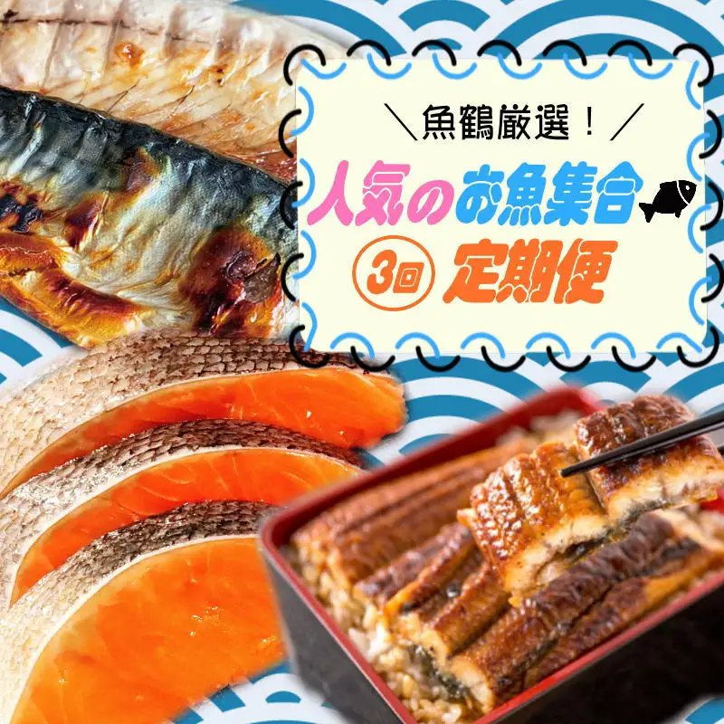 【3回定期便】人気のお魚集合定期便（さば・銀鮭・うなぎ）【tkb307】