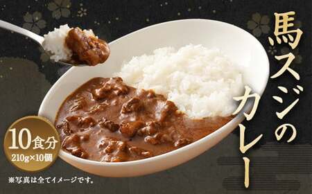 ＜ R8年熊本地震復興支援 ＞馬スジのカレー 10食セット 10人前 合計2.1kg 馬スジ 馬肉 カレー レトルト