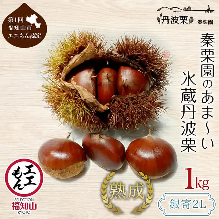 栗 くり 氷蔵 丹波栗 銀寄 2L 1kg