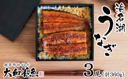 浜名湖うなぎ蒲焼 120g×3尾（計360g） 真空パック 冷蔵 【浜名湖うなぎ・国産うなぎ】 うなぎの蒲焼き 土用の丑の日 和食 魚料理 お酒のあて つまみ 手焼き 