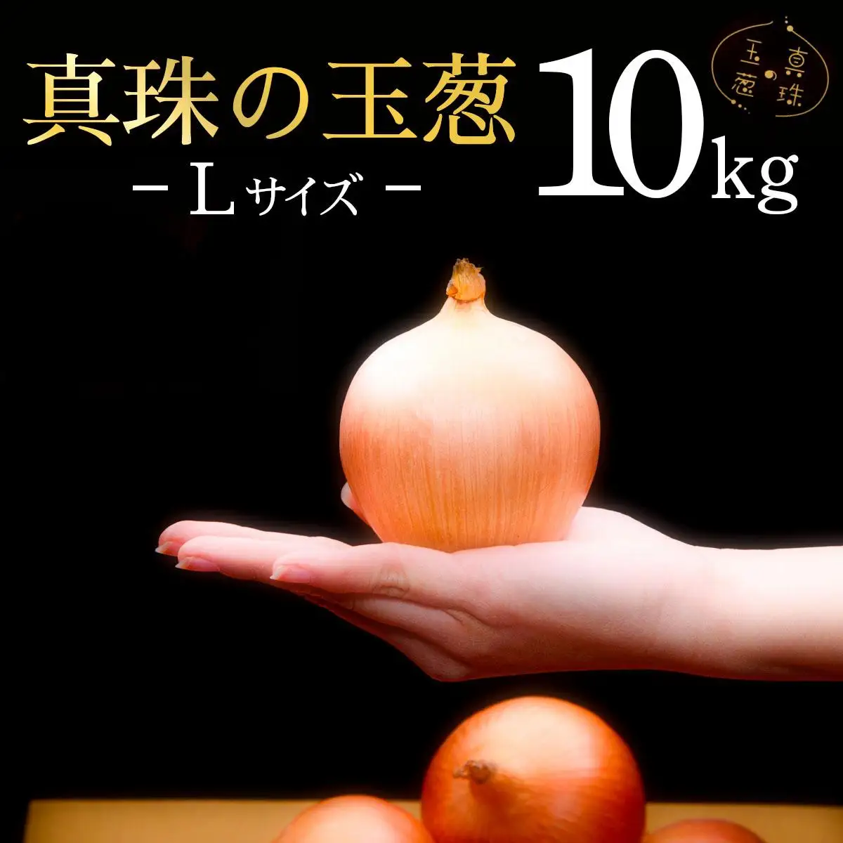 真珠の玉葱 Ｌサイズ10kg ≪海のミネラルで育てた玉葱≫【50104】