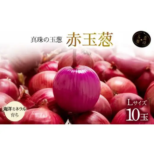 真珠の玉葱 赤玉葱Lサイズ10玉 ≪海のミネラルで育てた特別栽培玉葱≫【50107】