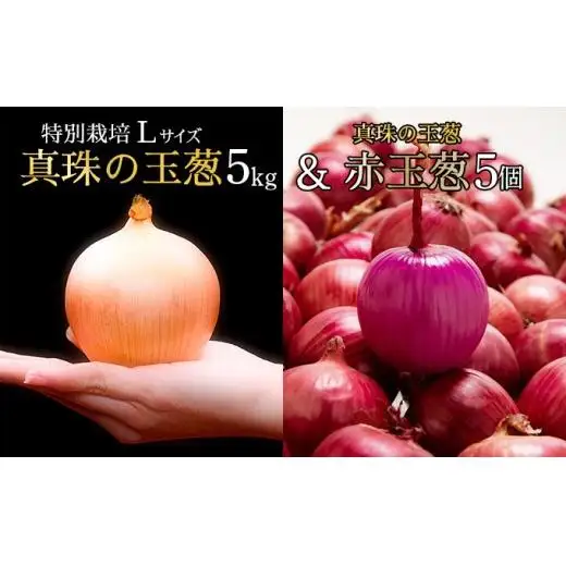 真珠の玉葱 特別栽培Lサイズ5kg(赤玉葱5個入り)≪海のミネラルで育てた特別栽培玉葱≫【50108】