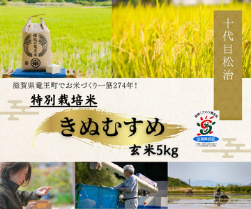 米 きぬむすめ 玄米 5kg 縁起の竜王米 （令和7年産）