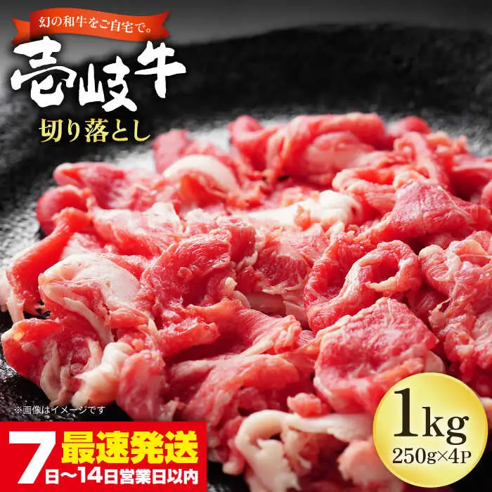 壱岐牛 切り落し （250g×4パック） [JEP004] 切り落し