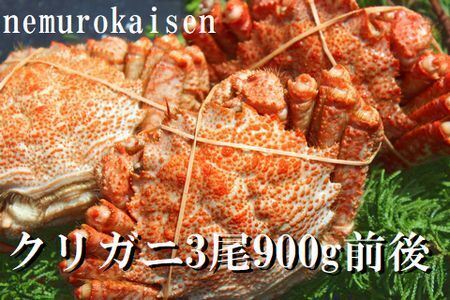 【北海道根室産】クリガニ3尾(計900g前後) A-57057