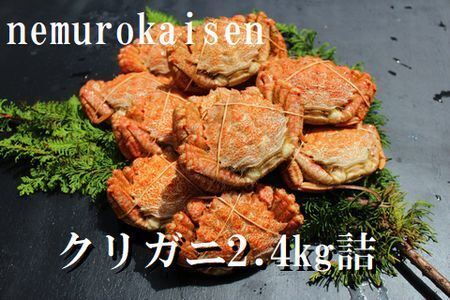 【北海道根室産】クリガニ200～250g×10～12尾(計2.4kg) C-57038