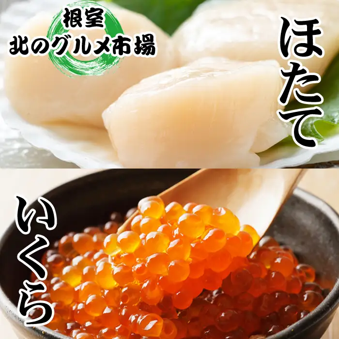 いくら醤油漬け100g×4P、ほたて貝柱500g×2P D-76007