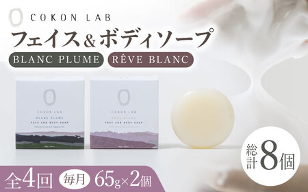 【全4回定期便】COKONLAB フェイス＆ボディソープ BR2個セット【株式会社 あつまるホールディングス NSP山鹿工場】[ZBR031]