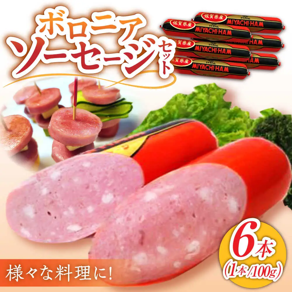 ボロニアソーセージ 100g×6本 /宮地ハム [UBM010]ソーセージ