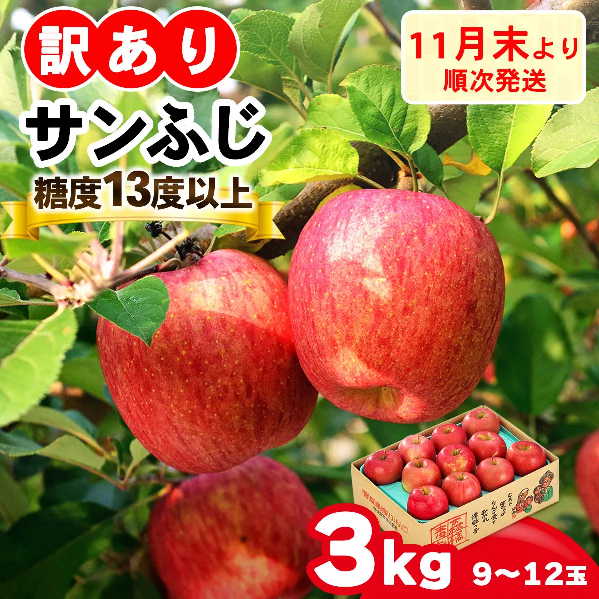[訳あり] りんご サンふじ 3kg (9玉から12玉入り 3kg 1箱)  見た目にわけあり 味はそのまま [0838]