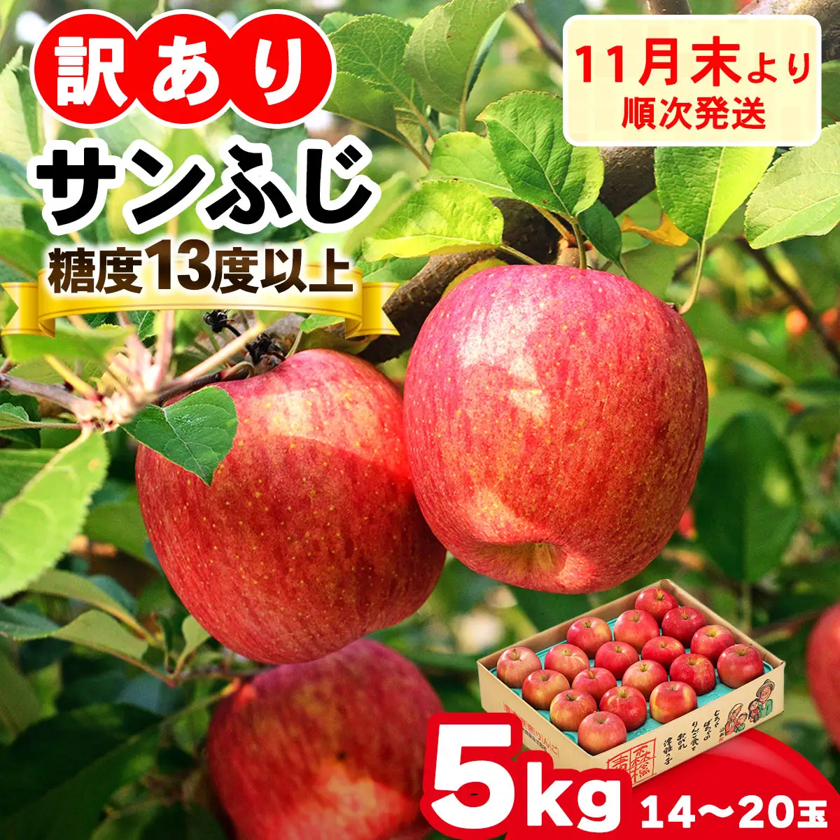 [訳あり] りんご サンふじ 5kg (14玉から20玉入り 5kg 1箱) 見た目にわけあり 味はそのまま [0839]