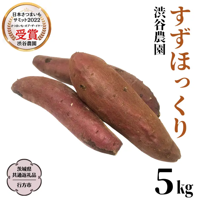 《 2026年 収穫分 》 すずほっくり 約 5kg (茨城県共通返礼品 行方市) 先行予約 渋谷農園 国産 茨城県 桜川市 さつまいも サツマイモ いも 芋 新芋 焼き芋 やきいも 野菜 旬 人気 おやつ 自宅用 家庭用 [DT005sa]