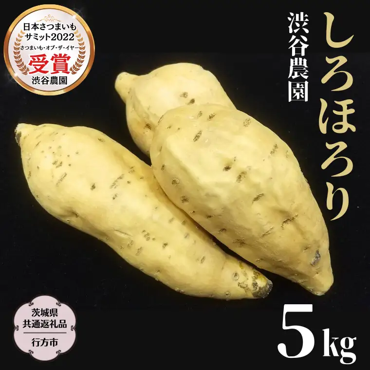 《 2026年 収穫分 》 しろほろり約 5kg (茨城県共通返礼品 行方市) 先行予約 渋谷農園 国産 茨城県 桜川市 さつまいも サツマイモ いも 芋 新芋 焼き芋 やきいも 野菜 旬 人気 おやつ 自宅用 家庭用 [DT011sa]