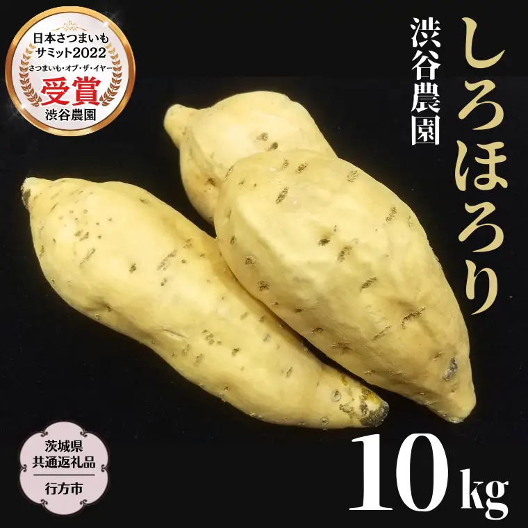 《 2026年 収穫分 》 しろほろり 約 10kg (茨城県共通返礼品 行方市) 先行予約 渋谷農園 国産 茨城県 桜川市 さつまいも サツマイモ いも 芋 新芋 焼き芋 やきいも 野菜 旬 人気 おやつ 自宅用 家庭用 [DT012sa]