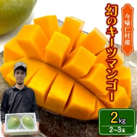 【先行受付・2026年8月から順次発送】仲本マンゴー園の幻のキーツマンゴー2.0kg(2～3玉)【配送不可地域：離島】【1418220】