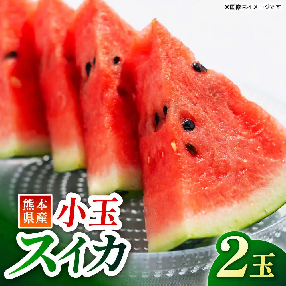 【先行予約】小玉 スイカ  2玉入り【くまふる】[ZBG023]