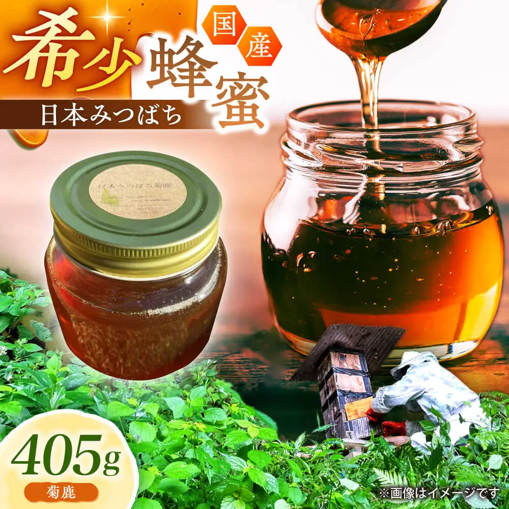 日本みつばち菊鹿約405g【山麓はっち】[ZBM010]