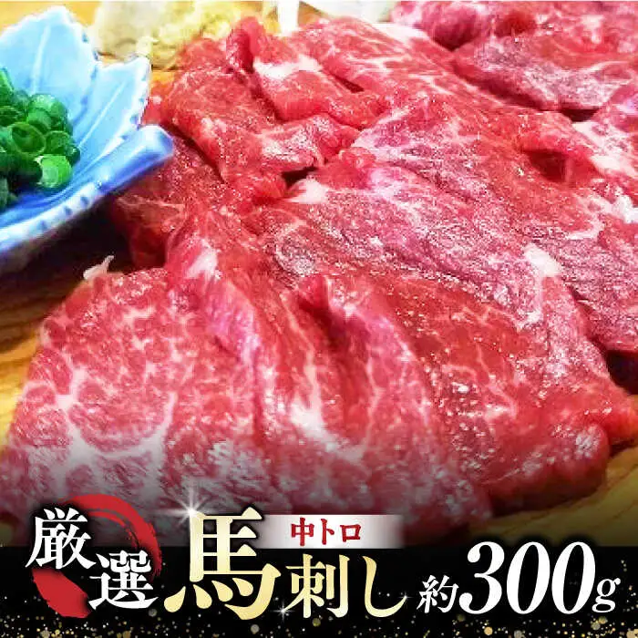 熊本 馬刺し 「なか園」 厳選の馬刺し 約３００ｇ[ZBV009]