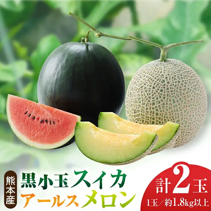 【先行予約】黒小玉 スイカ と アールスメロン セット 【株式会社 前田ファーム】西瓜 すいか 熊本 九州産 国産 熊本県産 贅沢 [ZCM003]