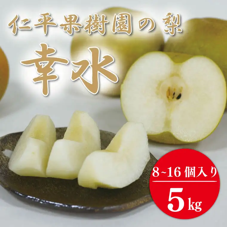 梨  幸水 5kg 先行予約 2026年発送 仁平果樹園 益子町産 DB001