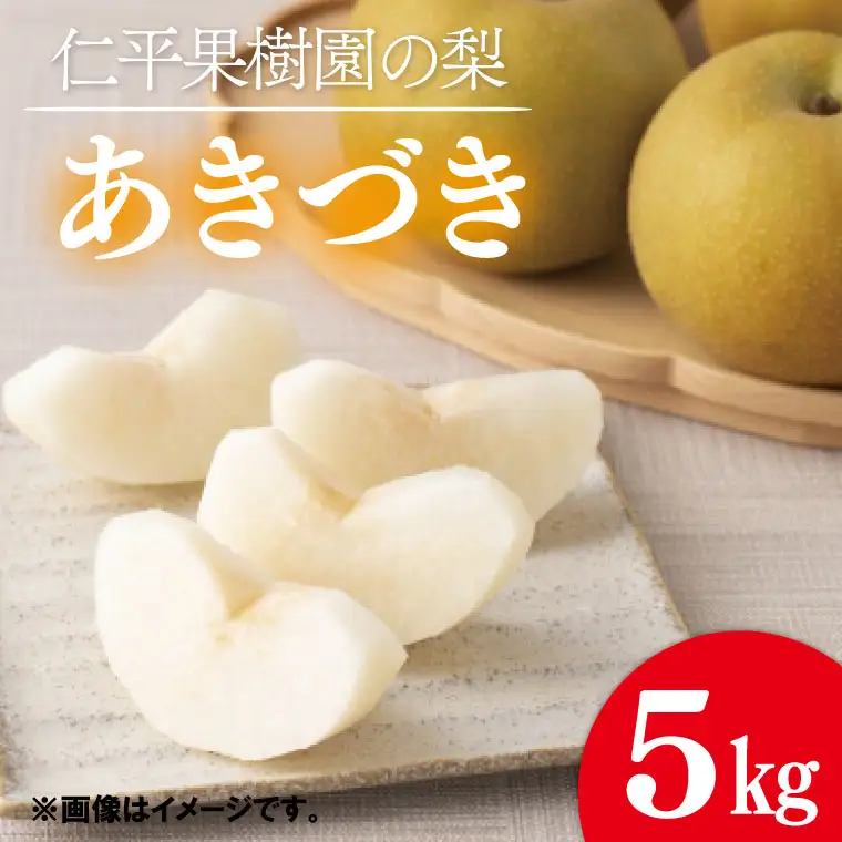 梨 あきづき 5kg 先行予約 2026年発送 仁平果樹園 益子町産 DB003