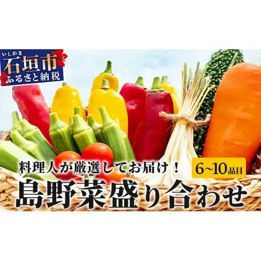 料理人が厳選した島野菜盛り合わせ (6～10品目) TM-7
