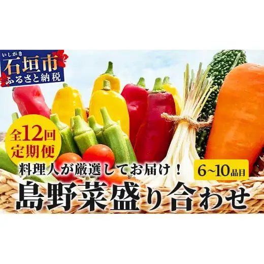 【定期便 12ヶ月】料理人が厳選した島野菜 (6～10品目×12回)   TM-8