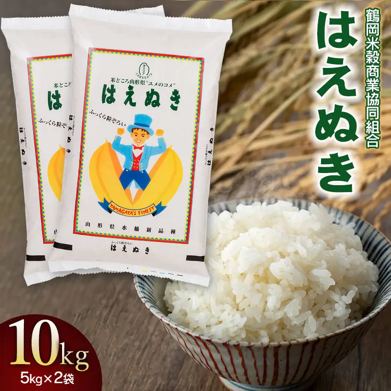【令和7年産】 はえぬき10kg (5kg×2) 山形県庄内産　鶴岡米穀商業協同組合 |  精米 東北 山形 鶴岡 国産 ブランド米 米どころ 庄内米 粒がしっかり ご飯 おにぎり 冷めても美味しい お弁当 おすすめ お取り寄せ 返礼品