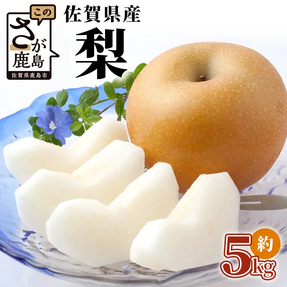佐賀県産 梨 約5kg 旬の梨