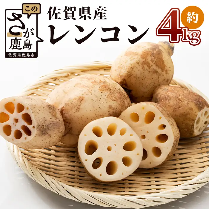 【予約受付】佐賀県産 れんこん 約4kg 野菜 やさい レンコン れんこん 蓮根 料理 贈り物 プレゼント 贈答 ギフト 野菜ギフト A-169
